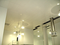 Suspended Ceiling Panels - 2